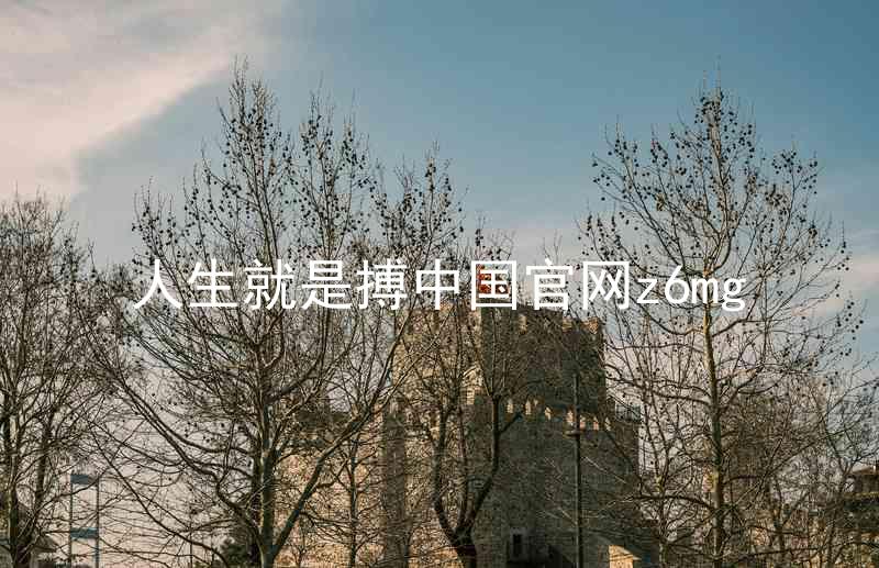 人生就是搏中国官网z6mg
